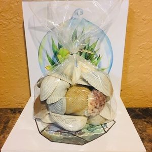 Sea Shell bag